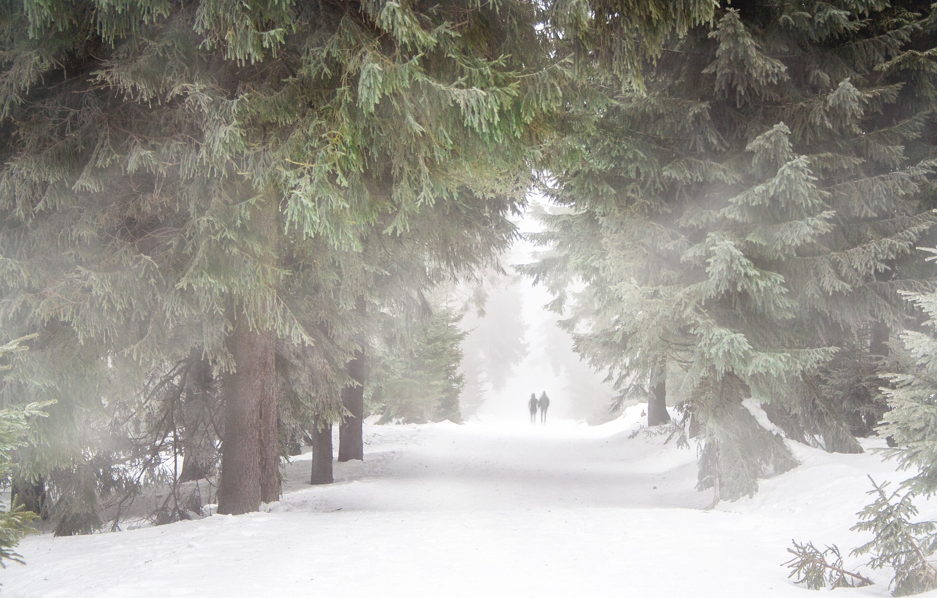 Snow Trail - 2 people